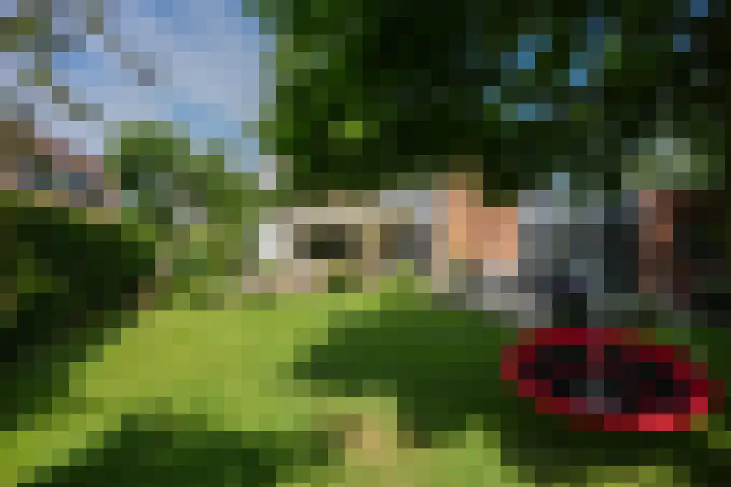 Courtpendu 13 Eijsden thumbnail 44