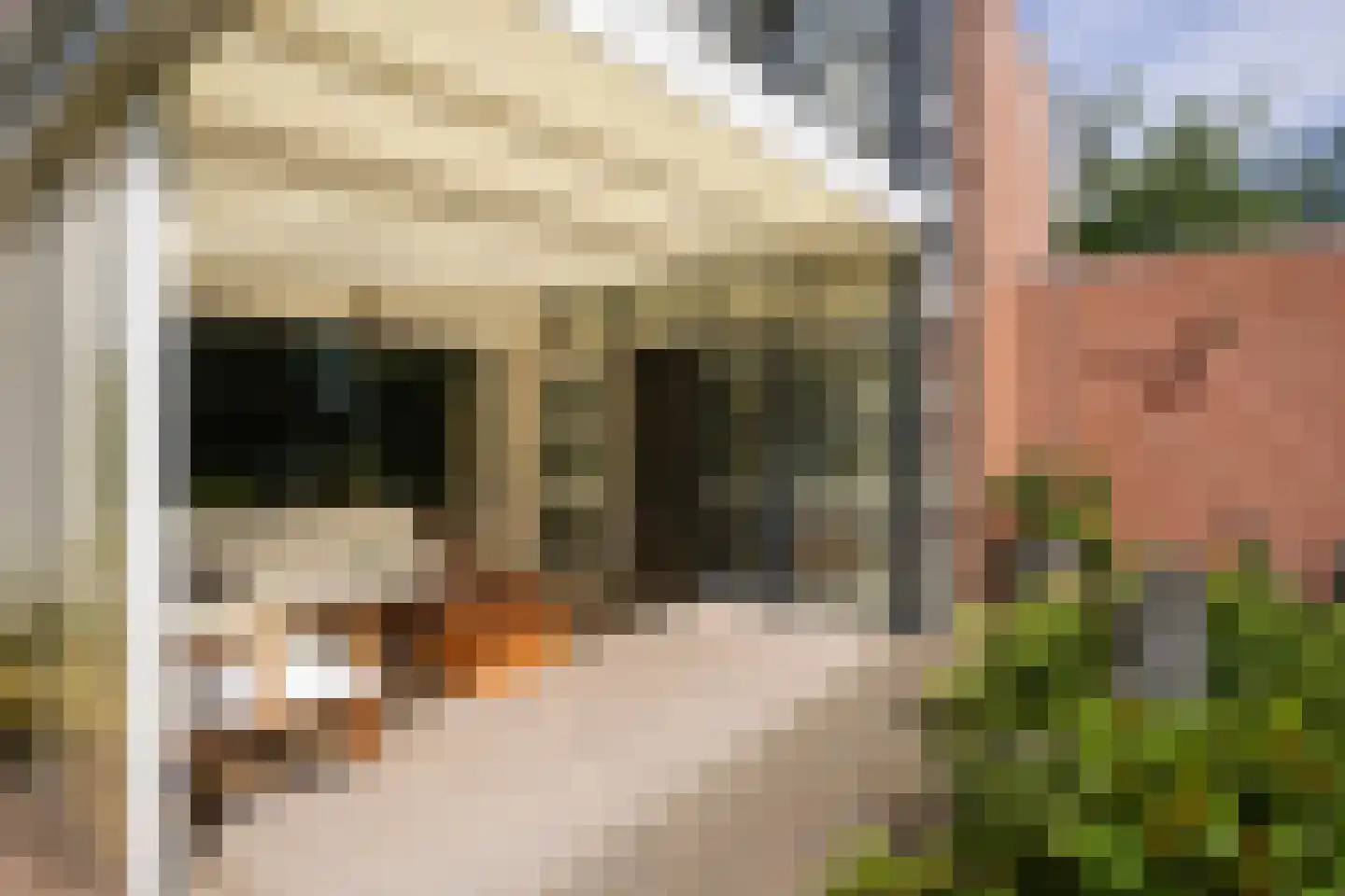 Courtpendu 13 Eijsden thumbnail 48