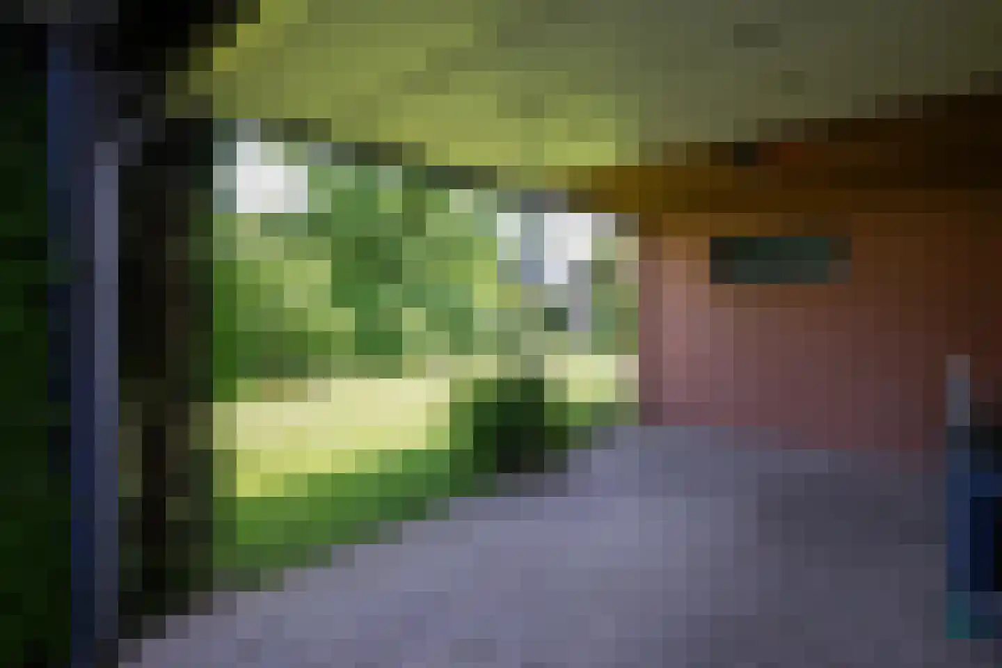 Courtpendu 13 Eijsden thumbnail 54
