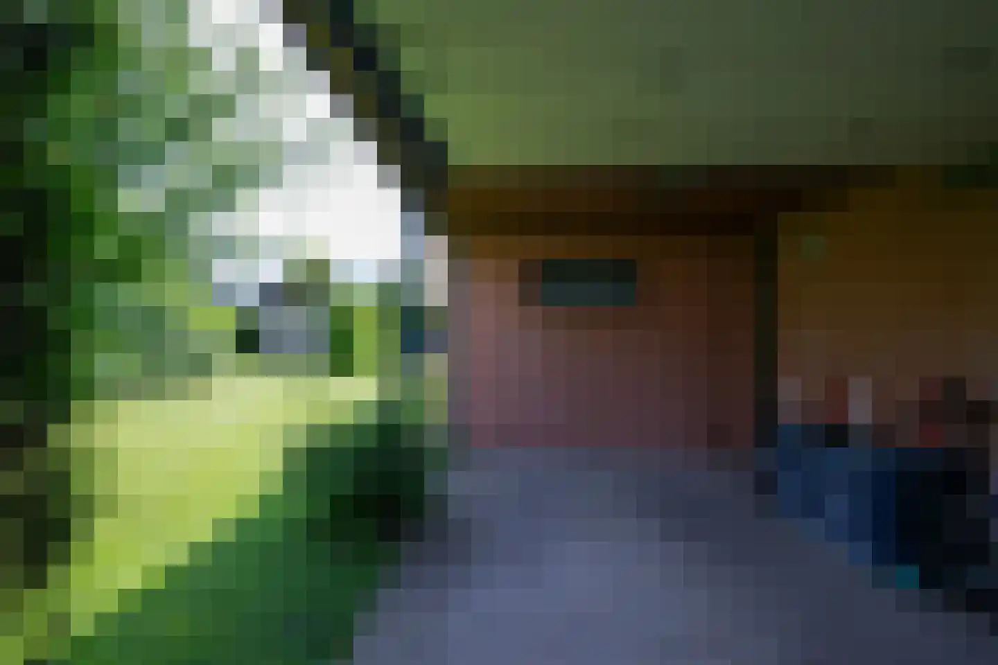 Courtpendu 13 Eijsden thumbnail 55