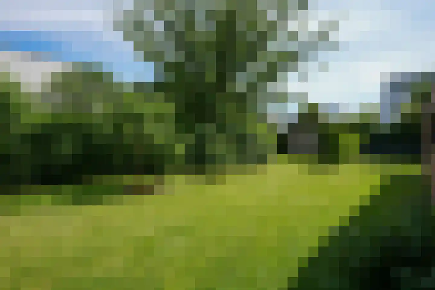 Courtpendu 13 Eijsden thumbnail 56