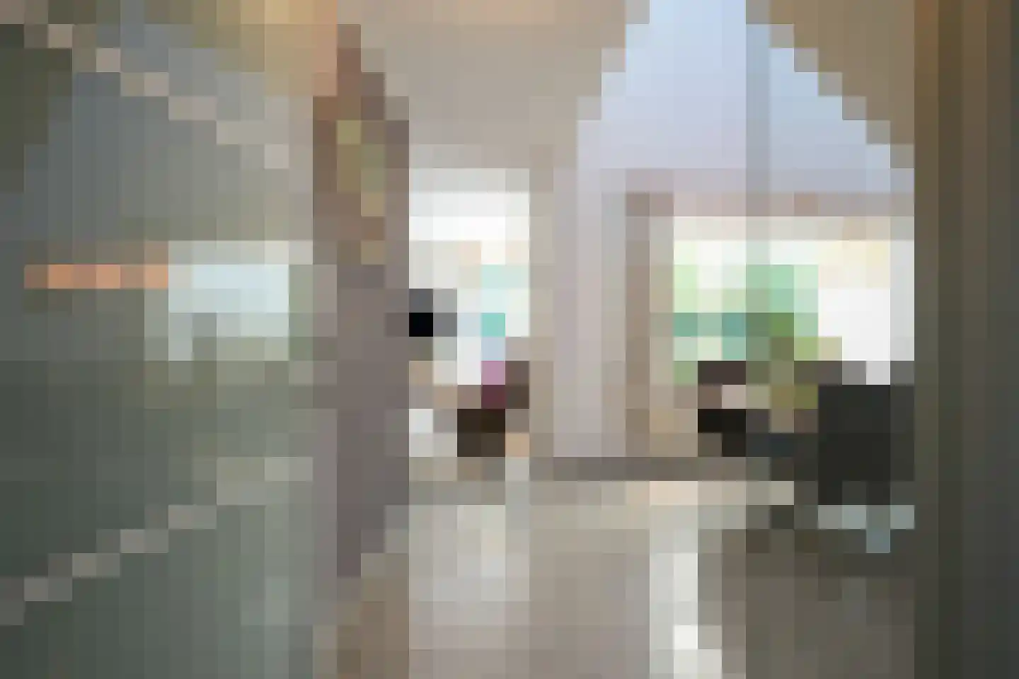 Courtpendu 13 Eijsden thumbnail 6