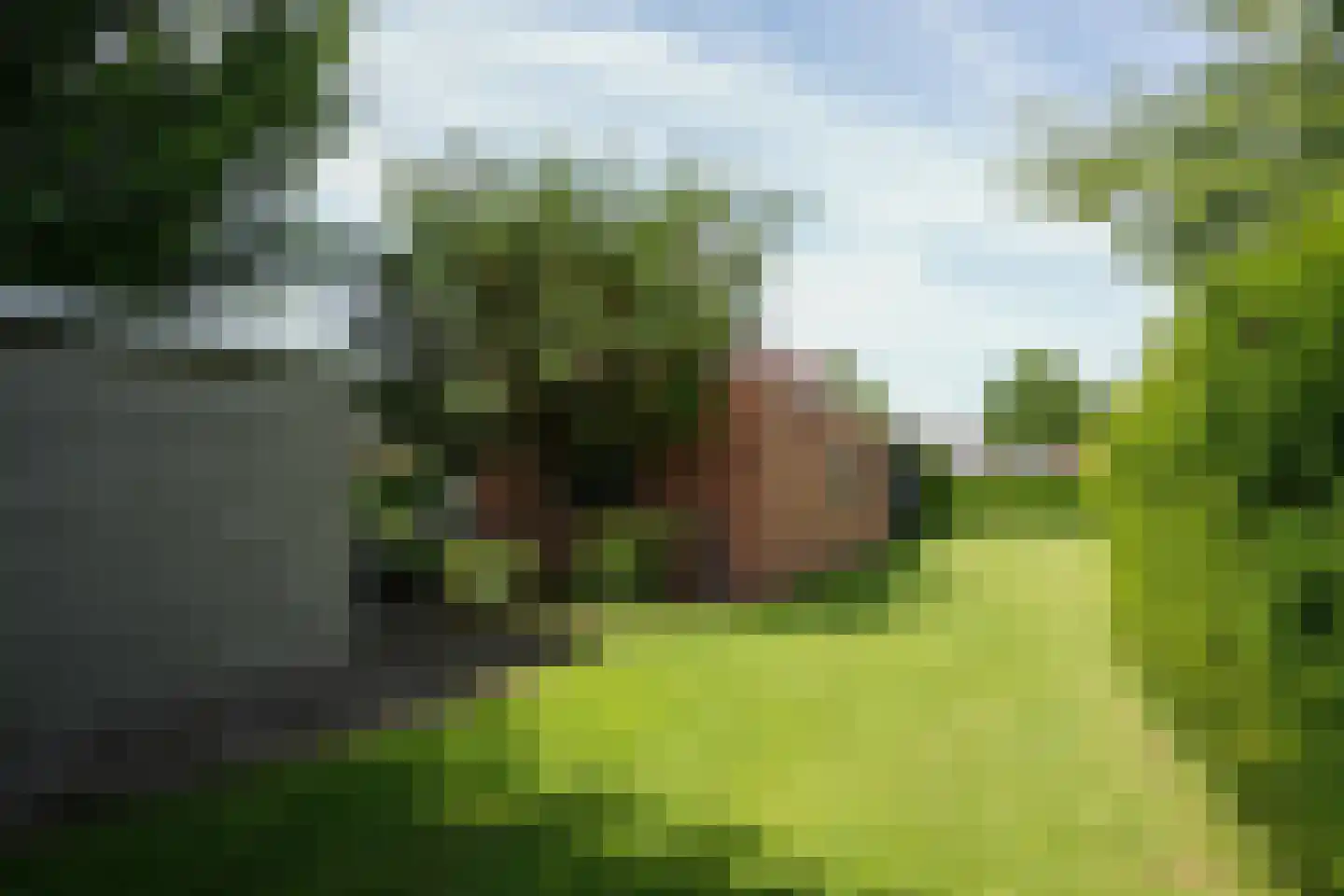 Courtpendu 13 Eijsden thumbnail 62