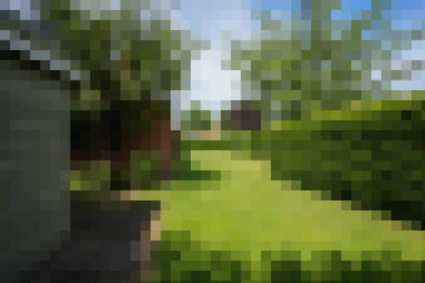Courtpendu 13 Eijsden thumbnail 63