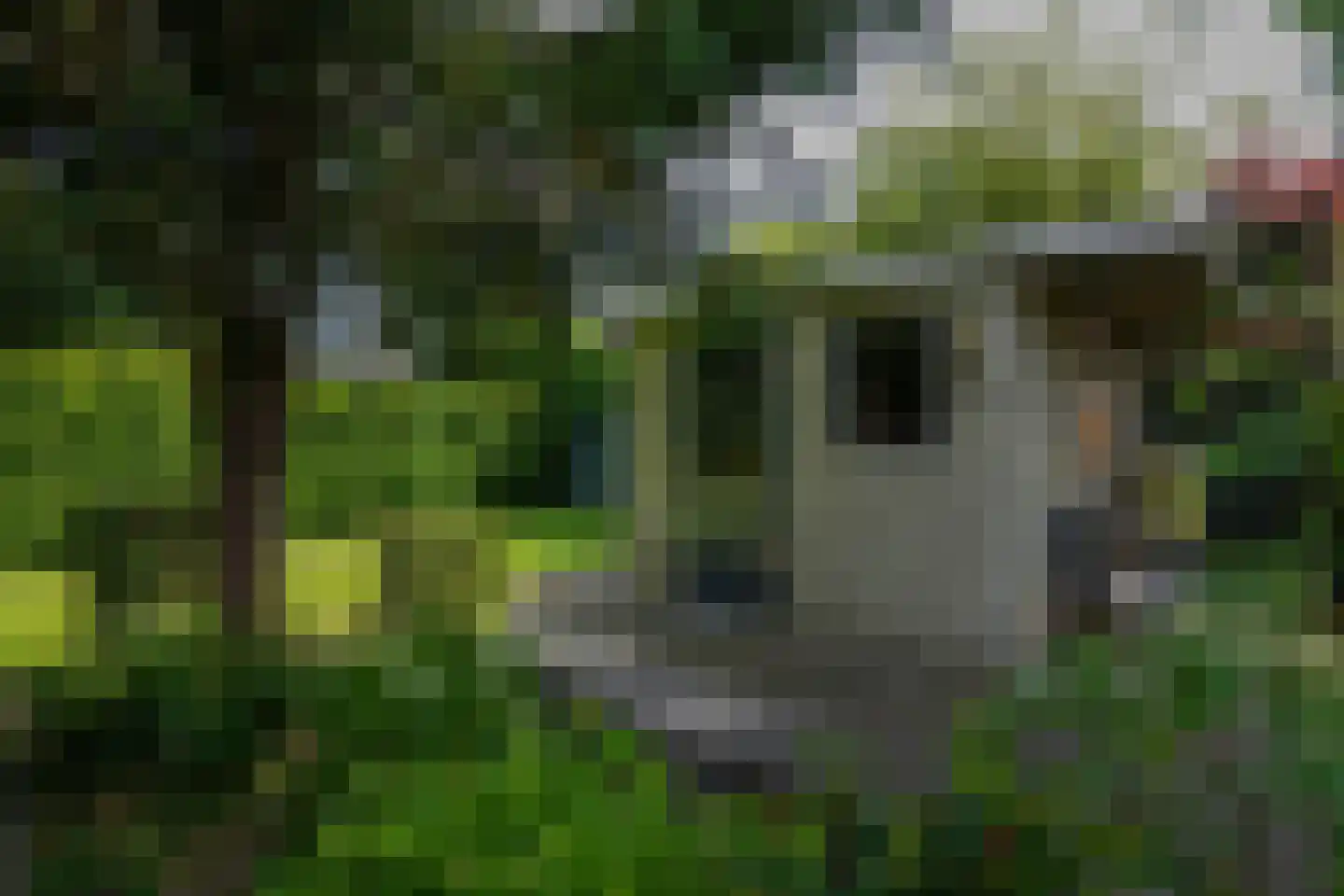 Courtpendu 13 Eijsden thumbnail 64