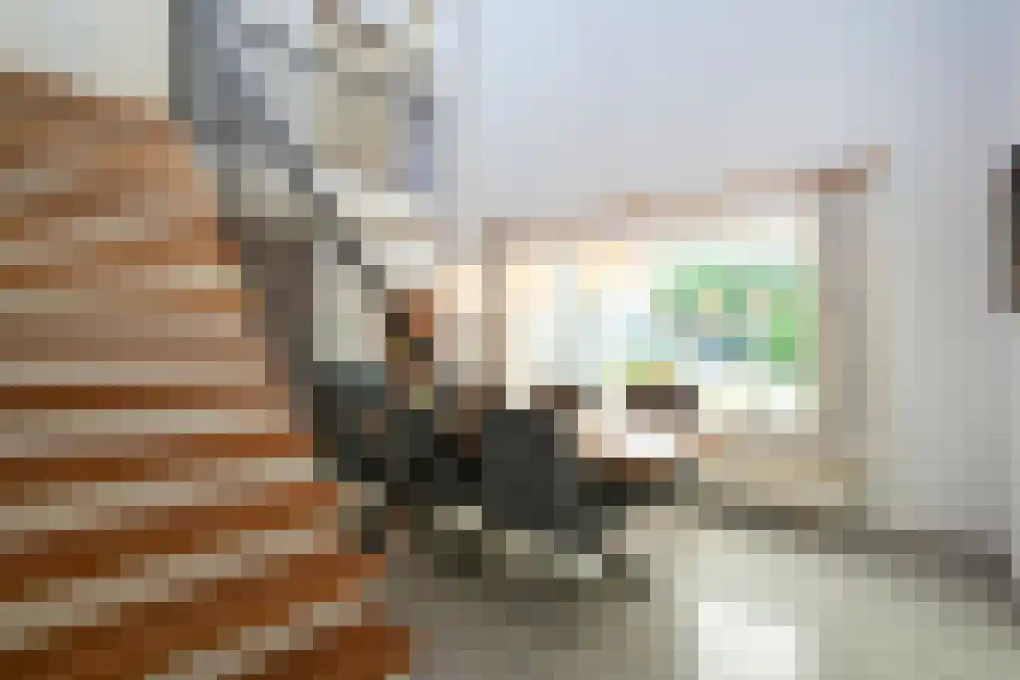Courtpendu 13 Eijsden thumbnail 8