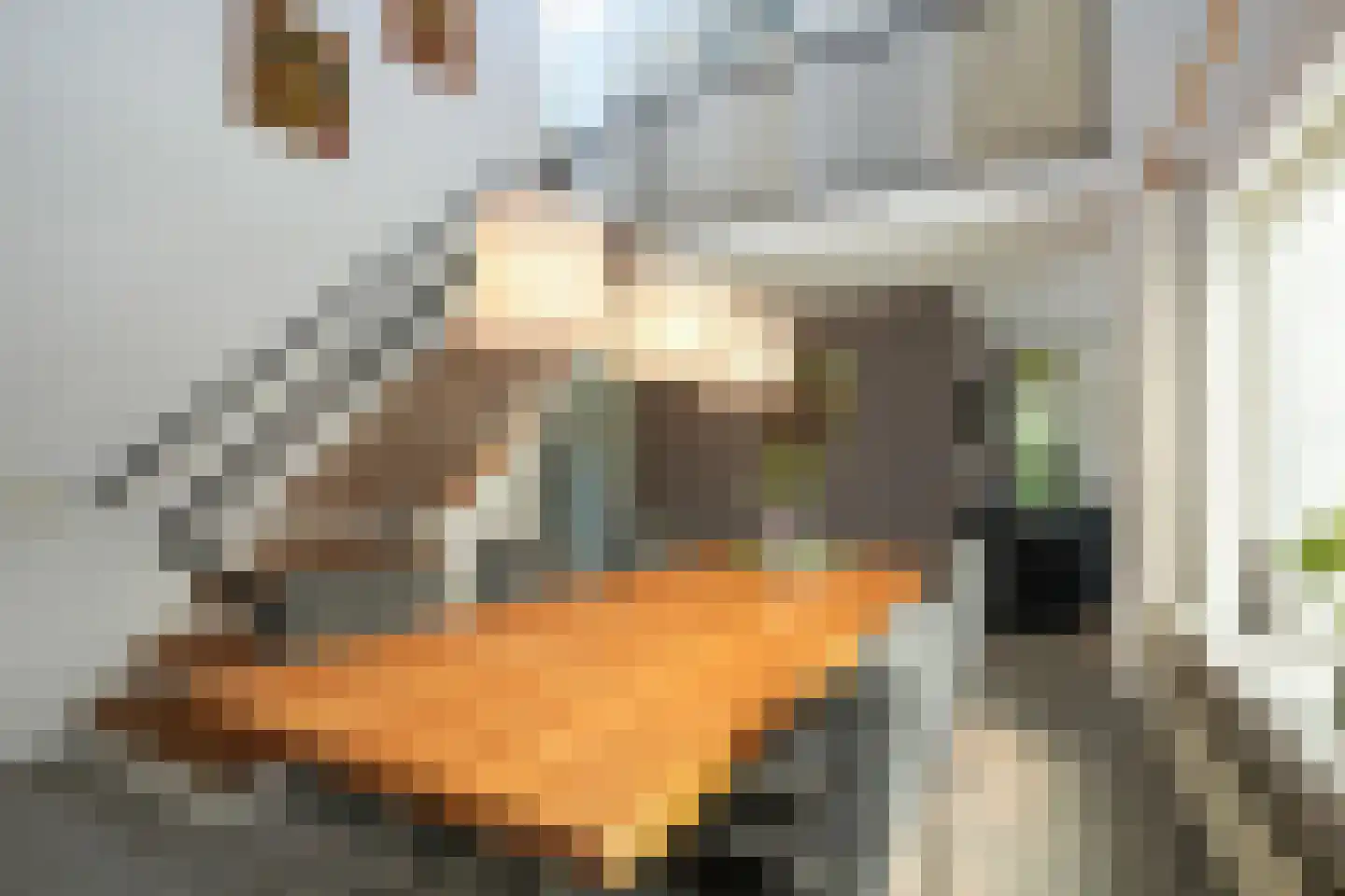 Courtpendu 13 Eijsden thumbnail 9