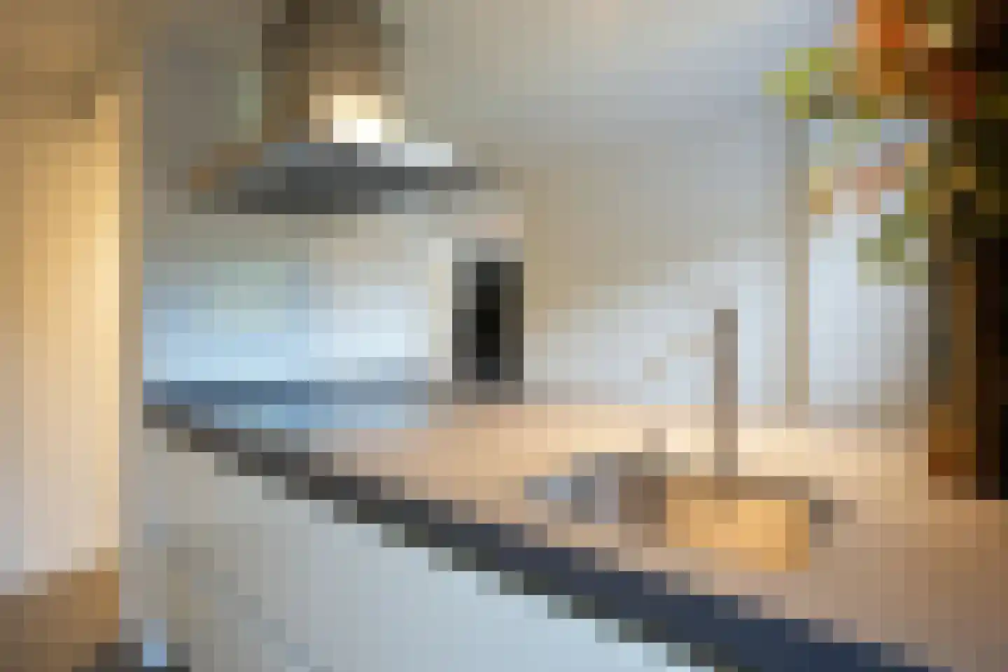 Courtpendu 6 Eijsden thumbnail 11