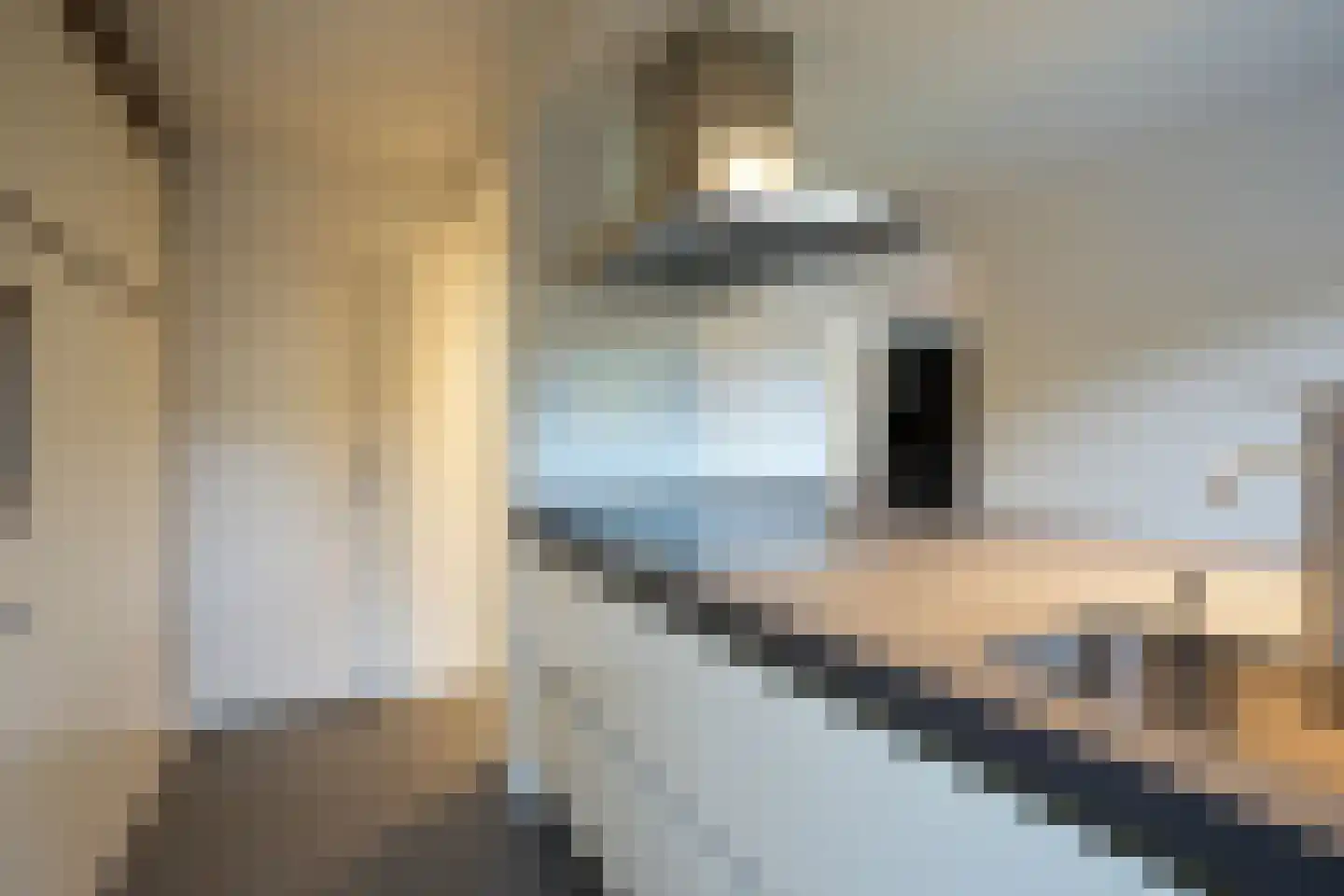 Courtpendu 6 Eijsden thumbnail 12