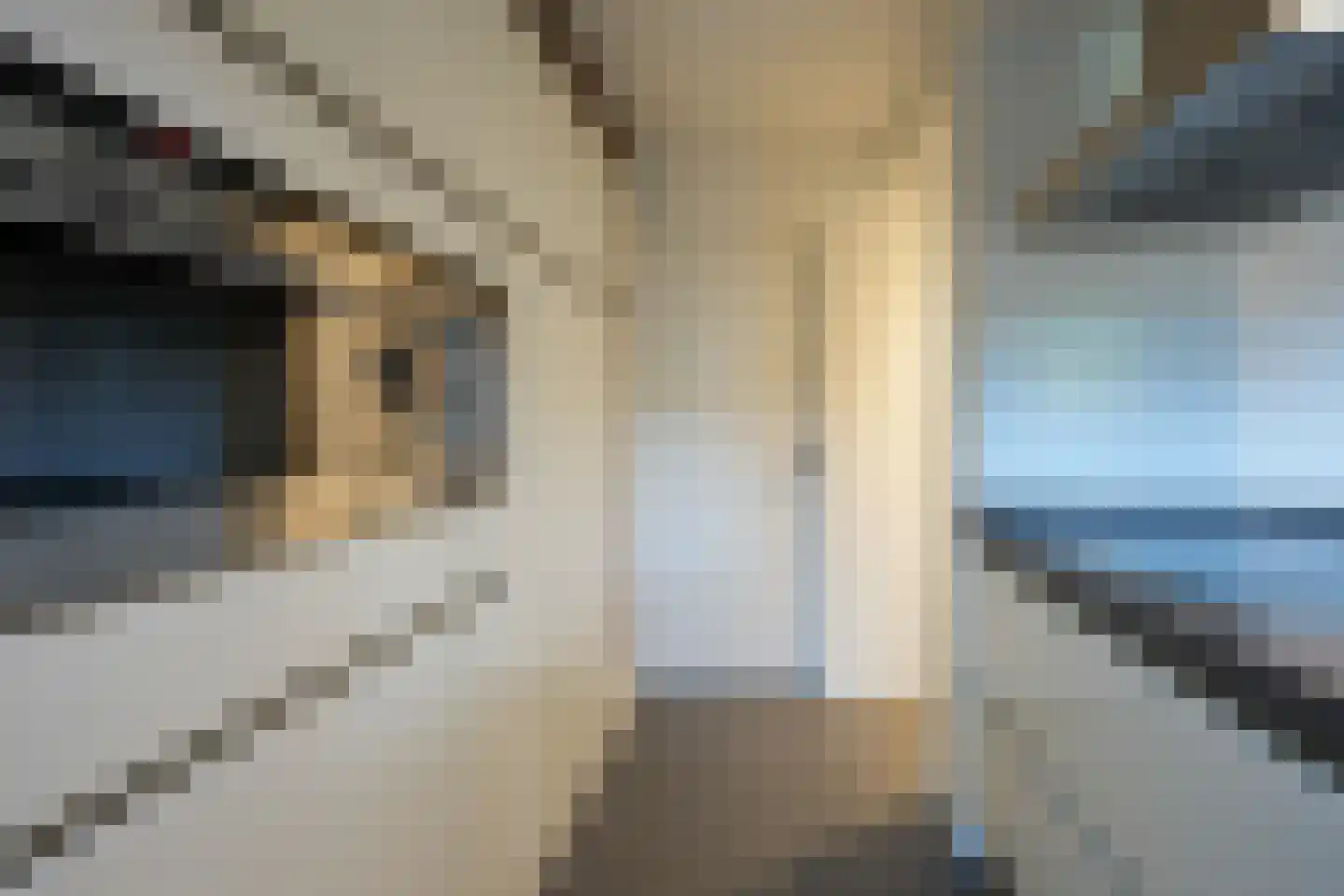 Courtpendu 6 Eijsden thumbnail 13