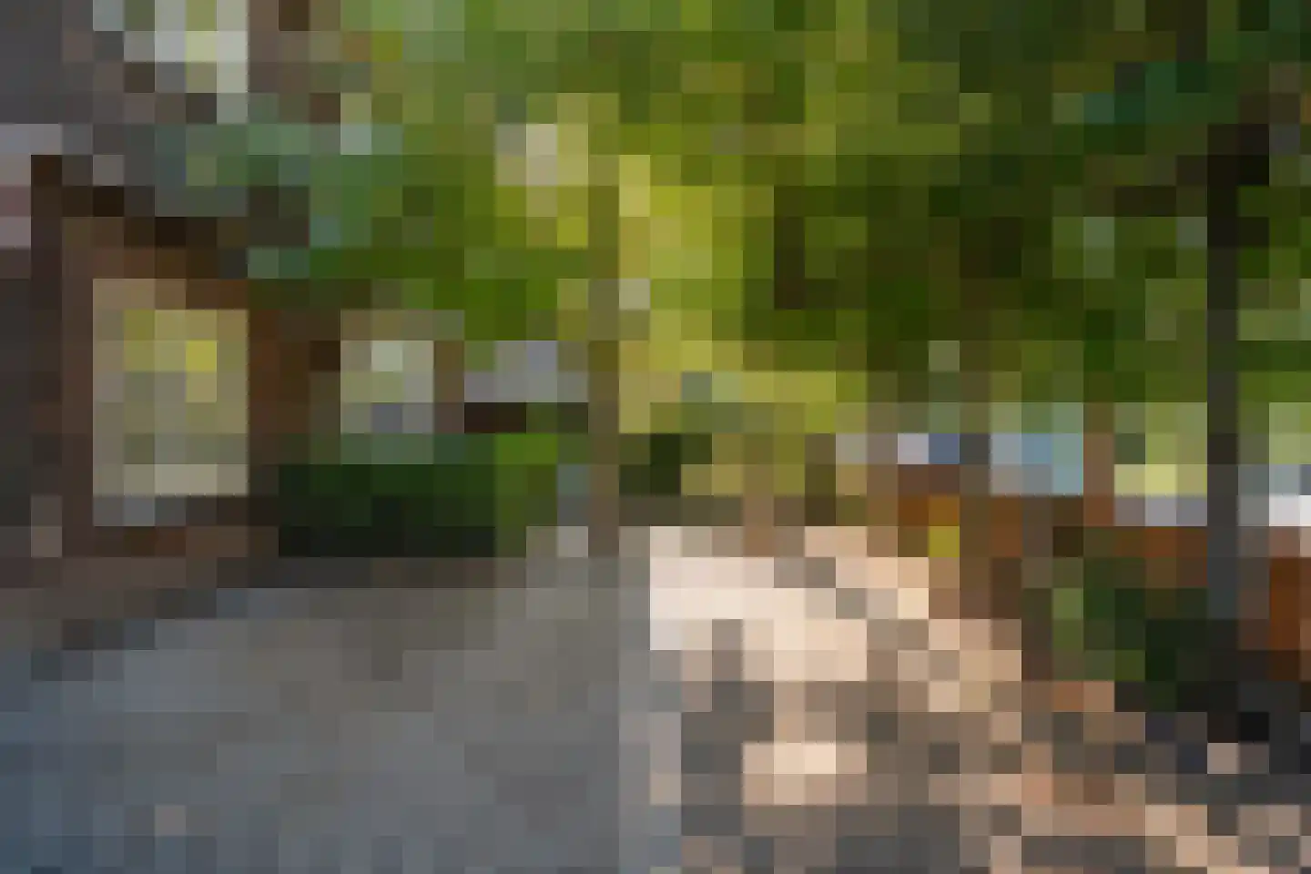 Courzandseweg 55 Rotterdam thumbnail 53
