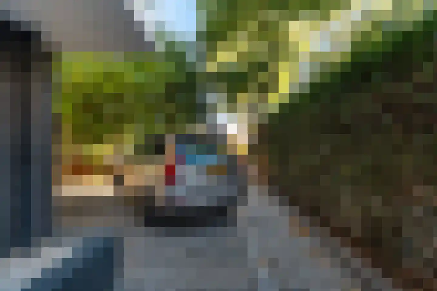 Courzandseweg 55 Rotterdam thumbnail 55