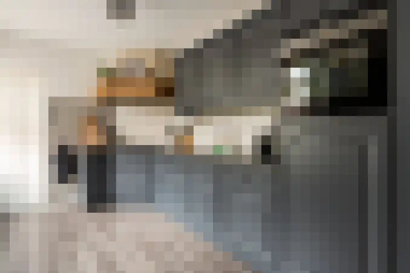 Couwenberghstraat 4 Hoogerheide thumbnail 13