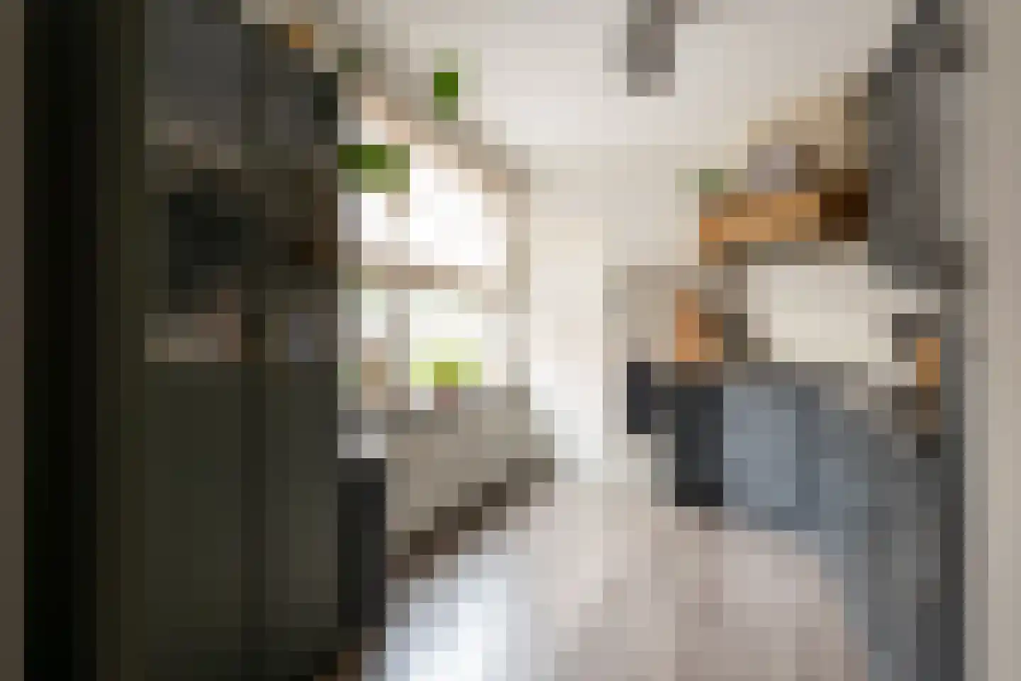 Couwenberghstraat 4 Hoogerheide thumbnail 14