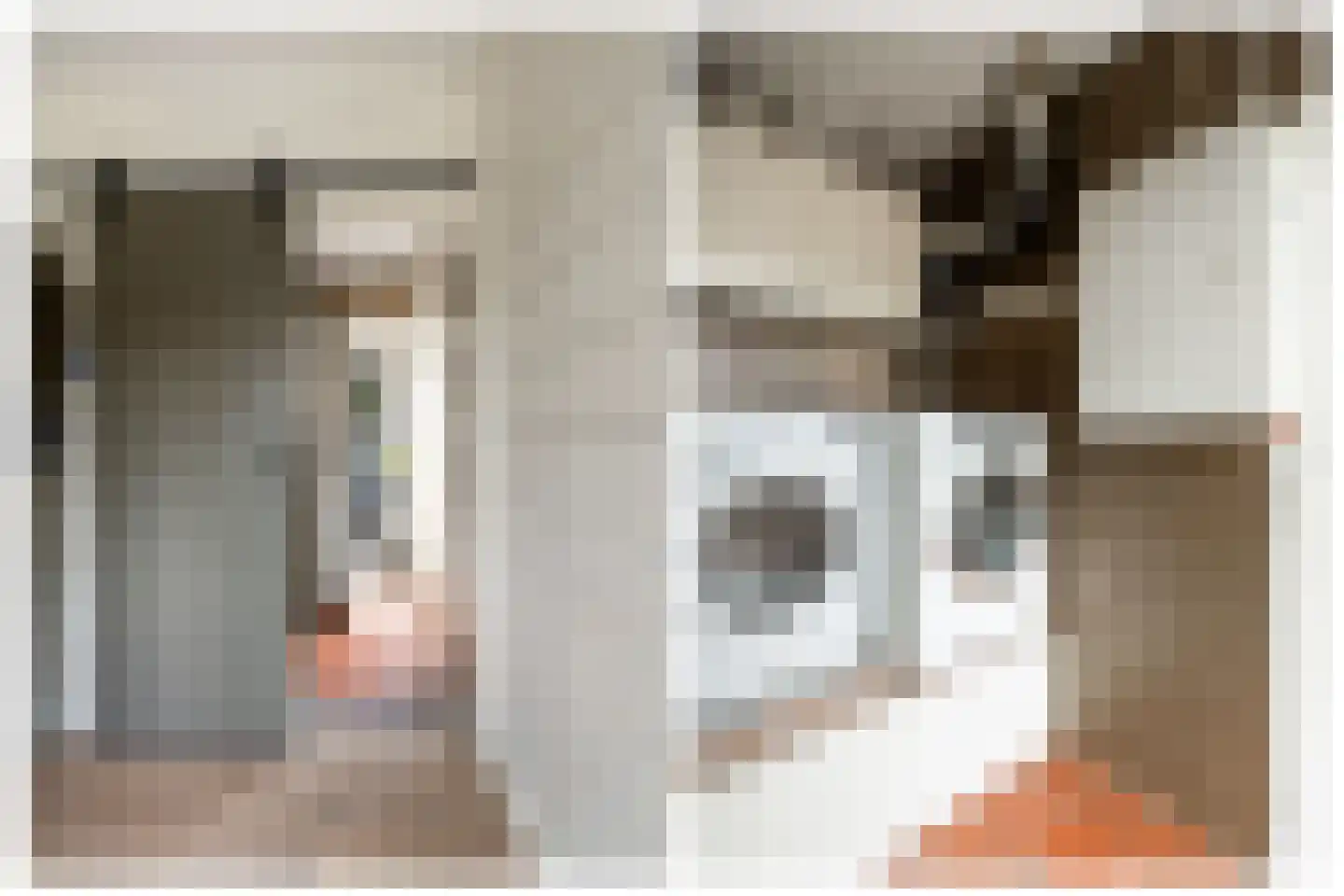Couwenberghstraat 4 Hoogerheide thumbnail 17