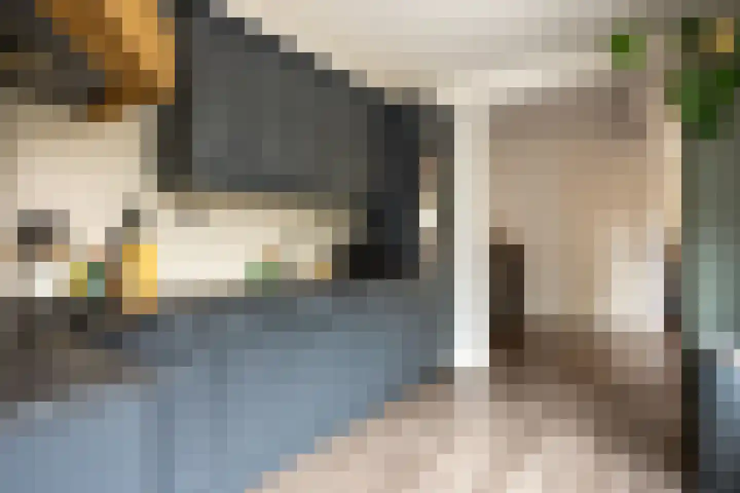 Couwenberghstraat 4 Hoogerheide thumbnail 18
