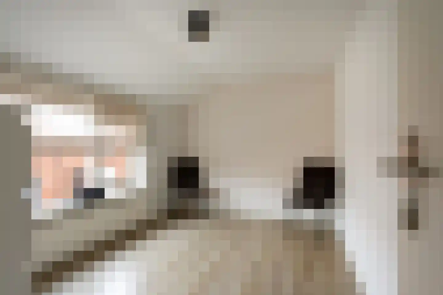 Couwenberghstraat 4 Hoogerheide thumbnail 23