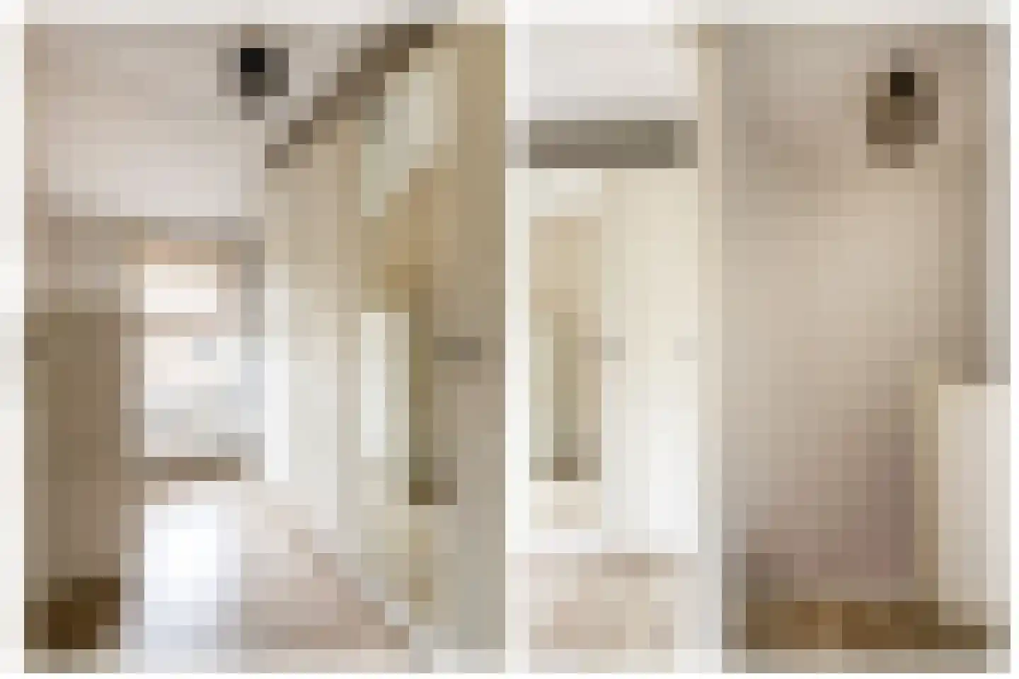 Couwenberghstraat 4 Hoogerheide thumbnail 25