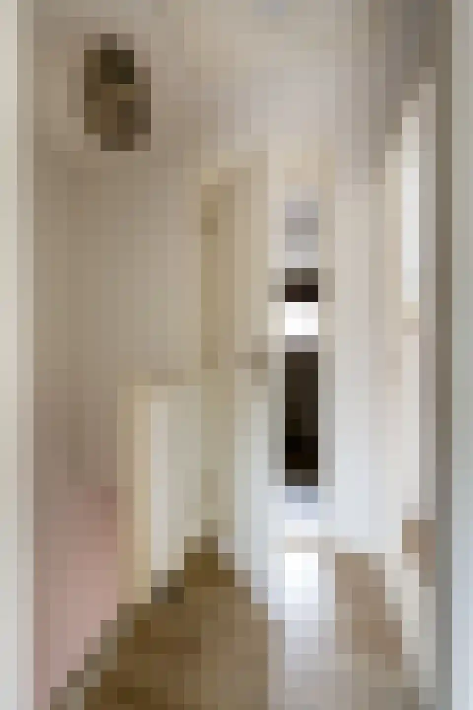 Couwenberghstraat 4 Hoogerheide thumbnail 28