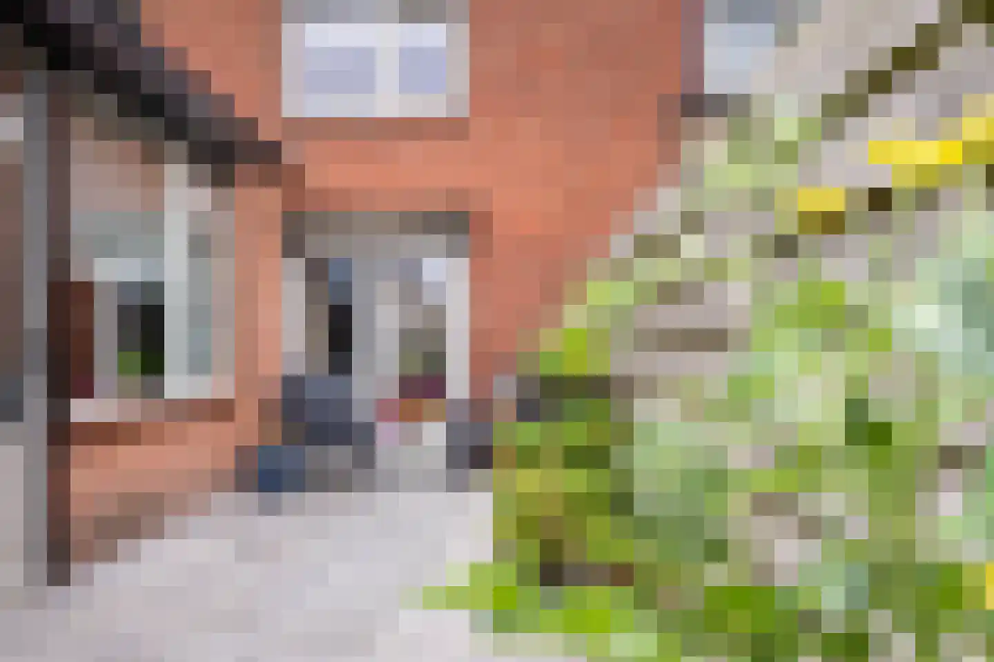 Couwenberghstraat 4 Hoogerheide thumbnail 32