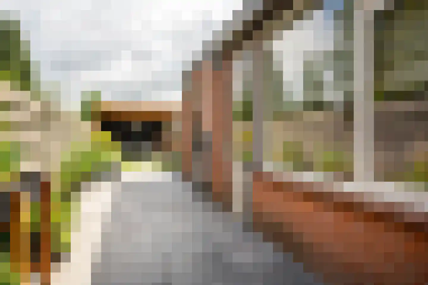 Couwenberghstraat 4 Hoogerheide thumbnail 33