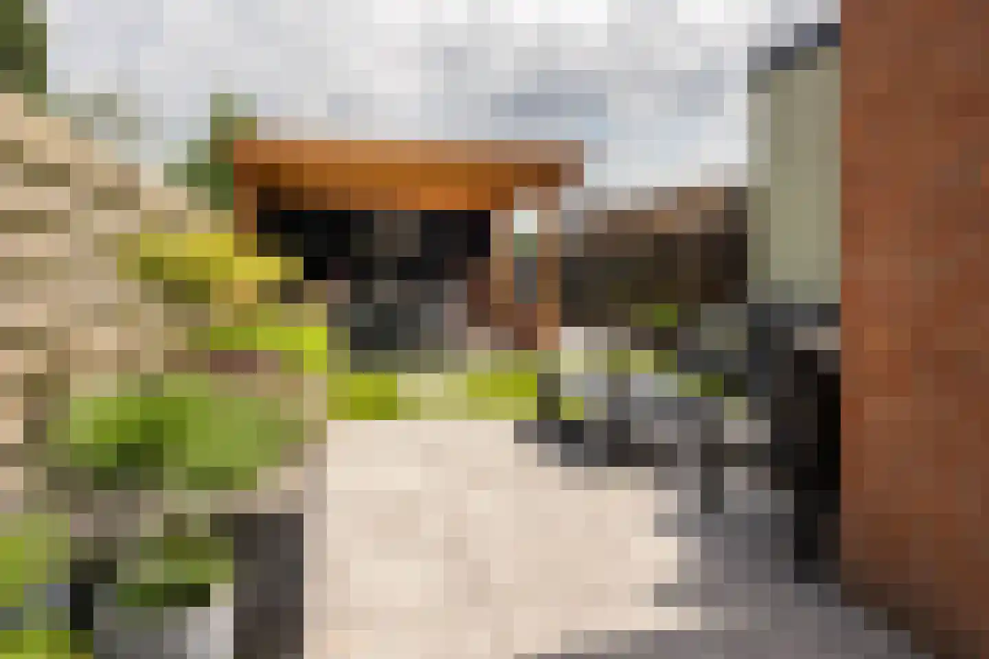 Couwenberghstraat 4 Hoogerheide thumbnail 34