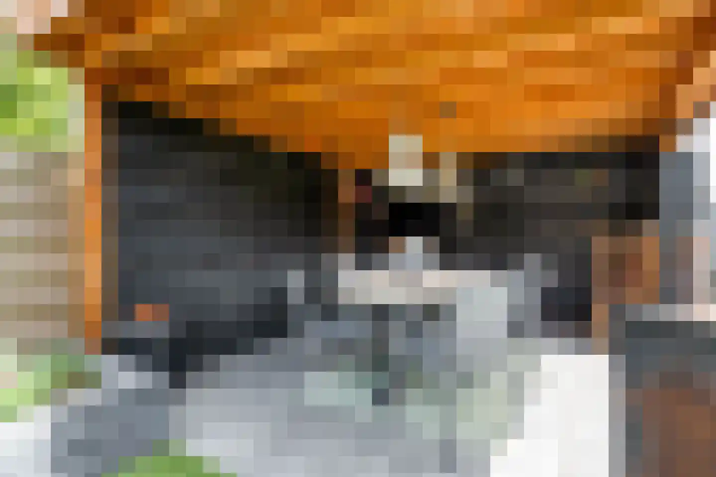 Couwenberghstraat 4 Hoogerheide thumbnail 38