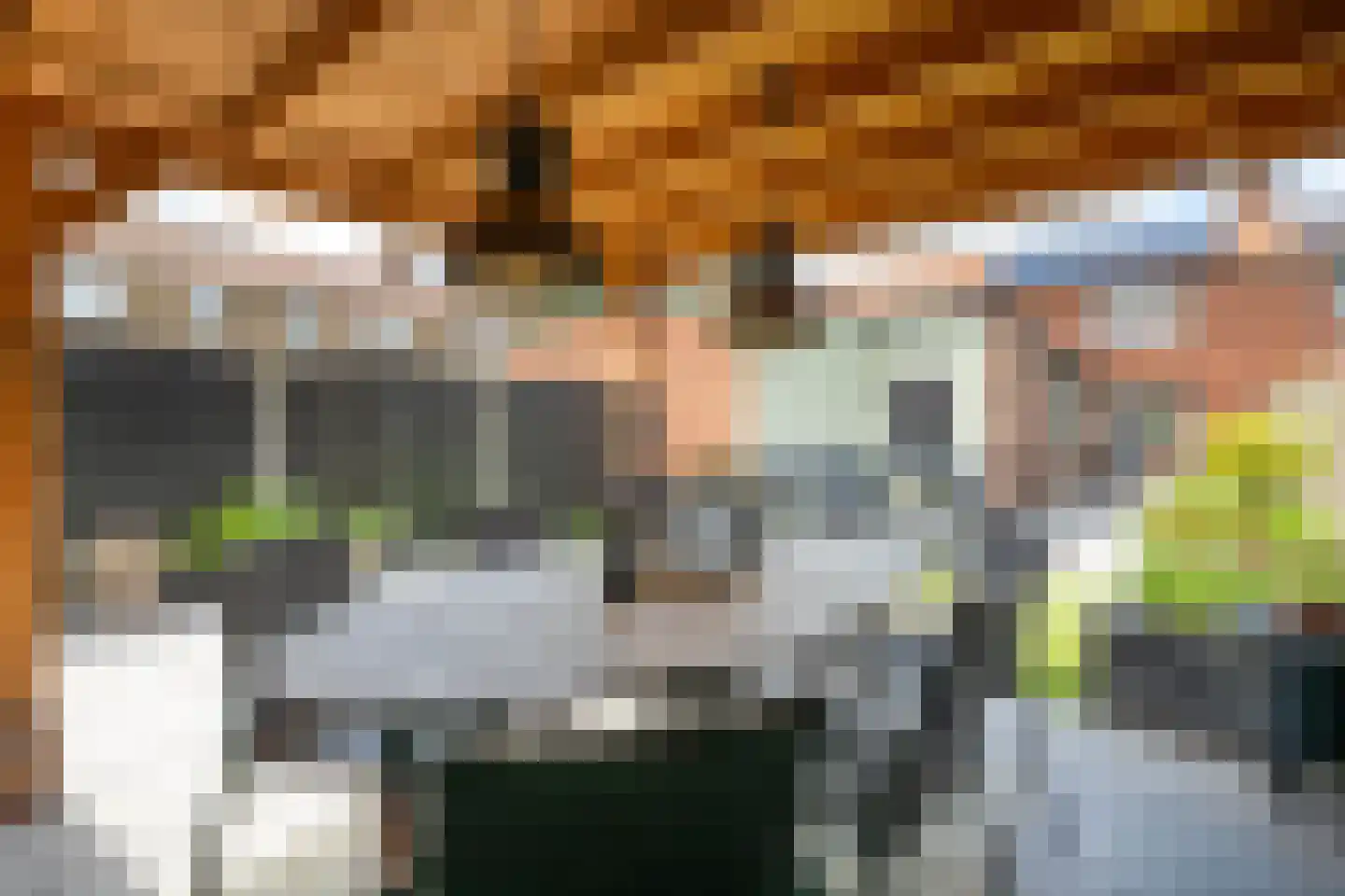 Couwenberghstraat 4 Hoogerheide thumbnail 39