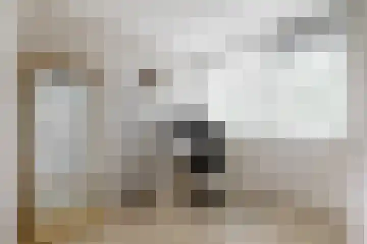 Couwenhoven 4110 Zeist thumbnail 17