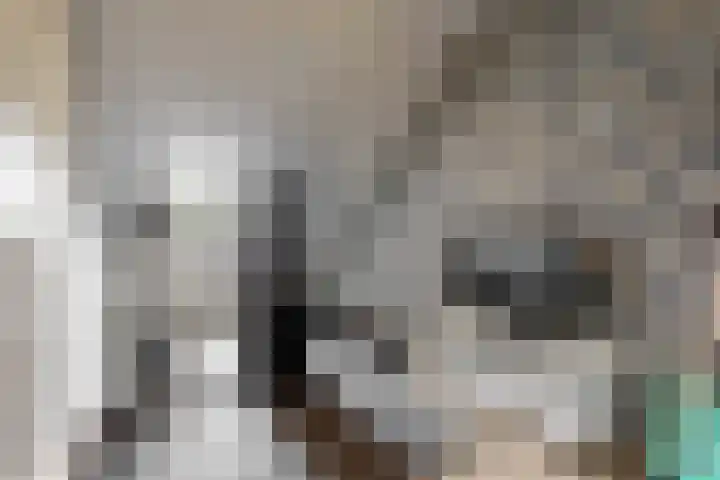 Couwenhoven 4110 Zeist thumbnail 25