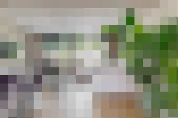 Couwenhoven 4110 Zeist thumbnail 27