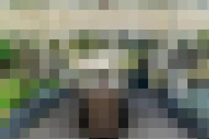 Couwenhoven 4110 Zeist thumbnail 34