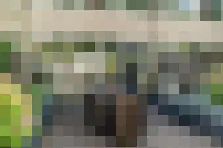 Couwenhoven 4110 Zeist thumbnail 35