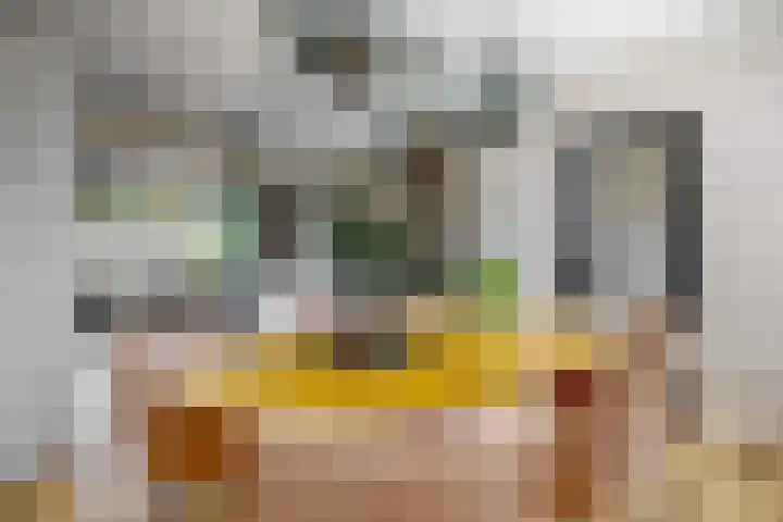 Couwenhoven 4110 Zeist thumbnail 4