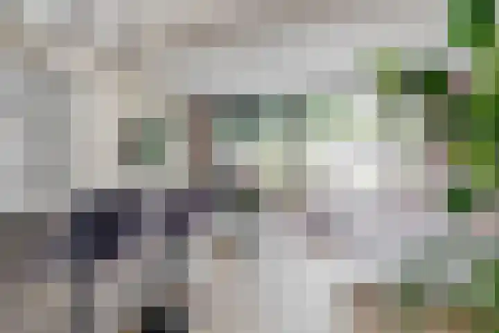 Couwenhoven 4110 Zeist thumbnail 6