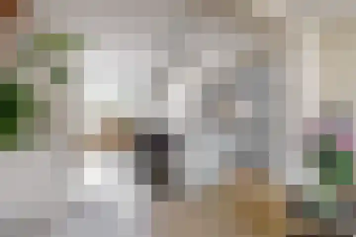 Couwenhoven 4110 Zeist thumbnail 7