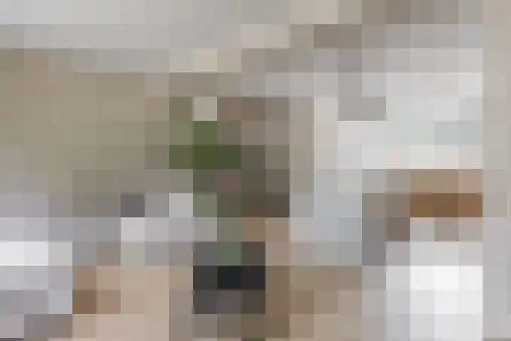 Couwenhoven 4110 Zeist thumbnail 8
