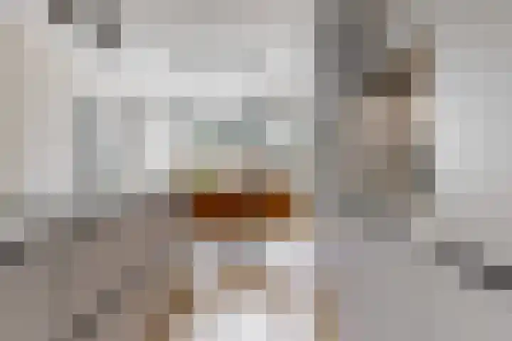 Couwenhoven 4110 Zeist thumbnail 9