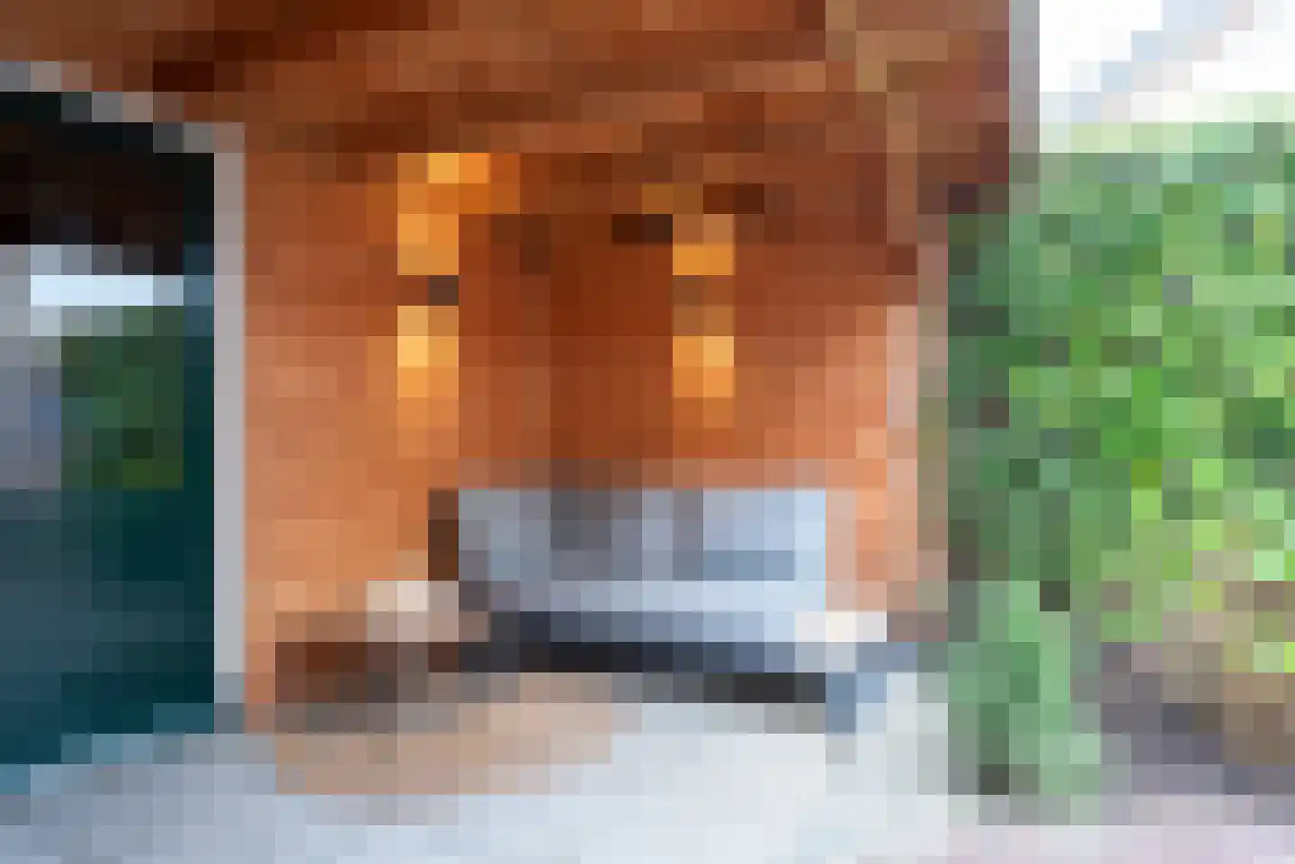 Couwenhoven 4235 Zeist thumbnail 48