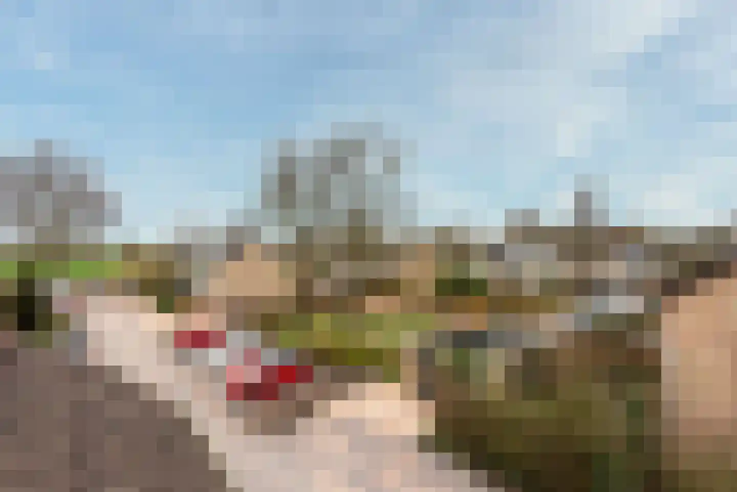 Couwenhoven 4235 Zeist thumbnail 50