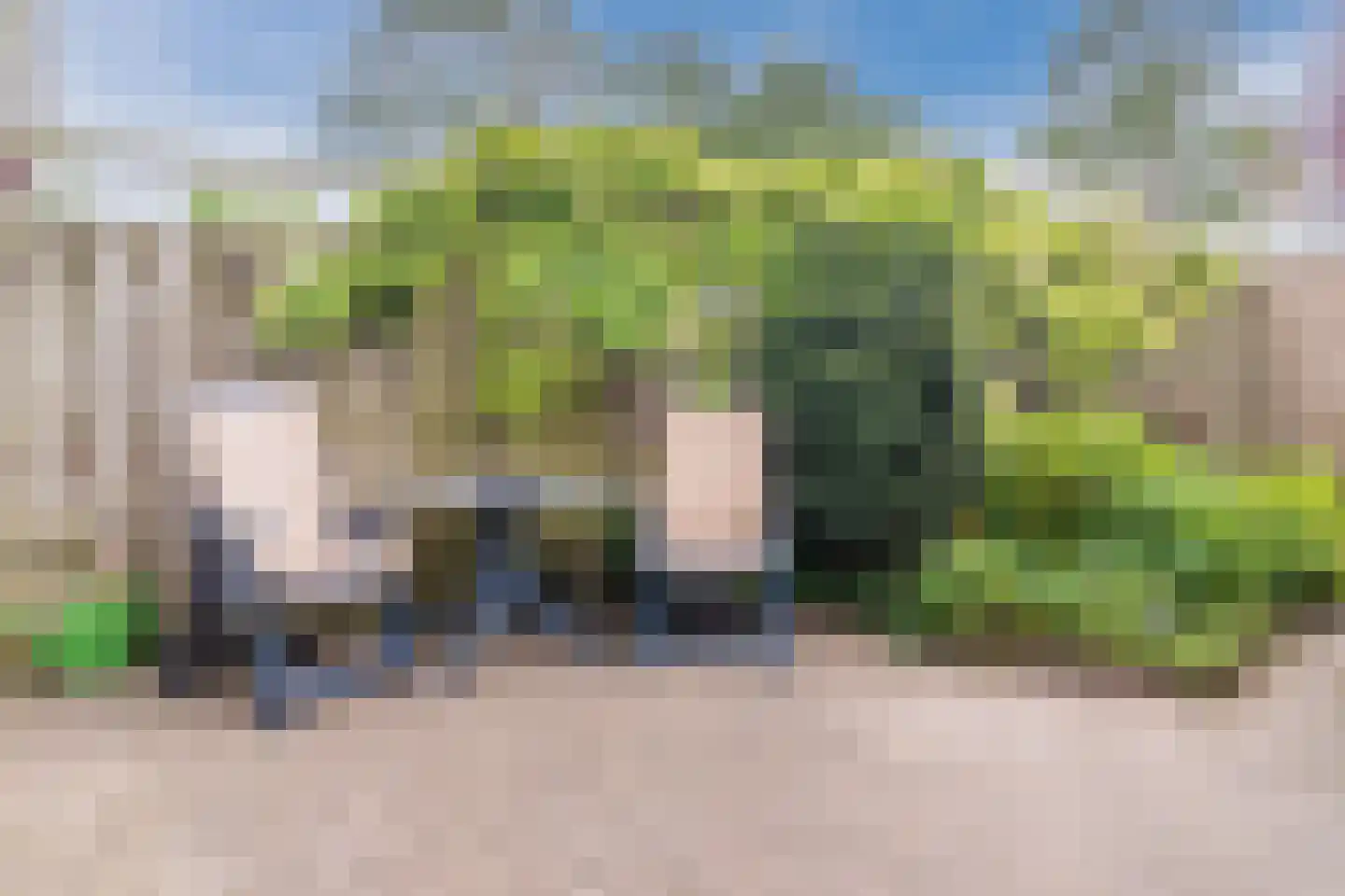 Couwenhoven 4309 Zeist thumbnail 34