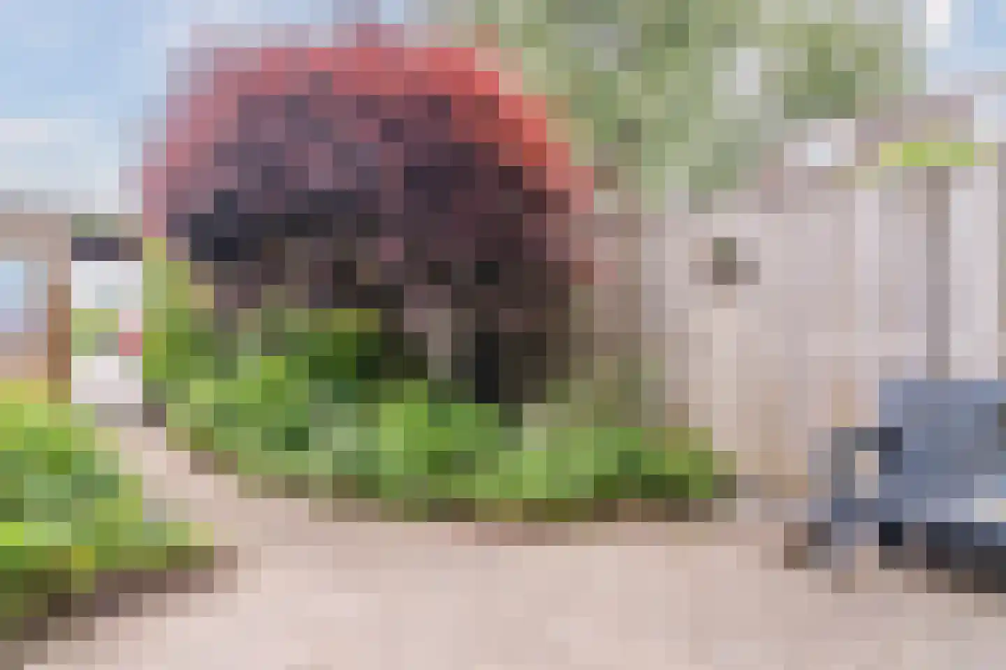 Couwenhoven 4309 Zeist thumbnail 35