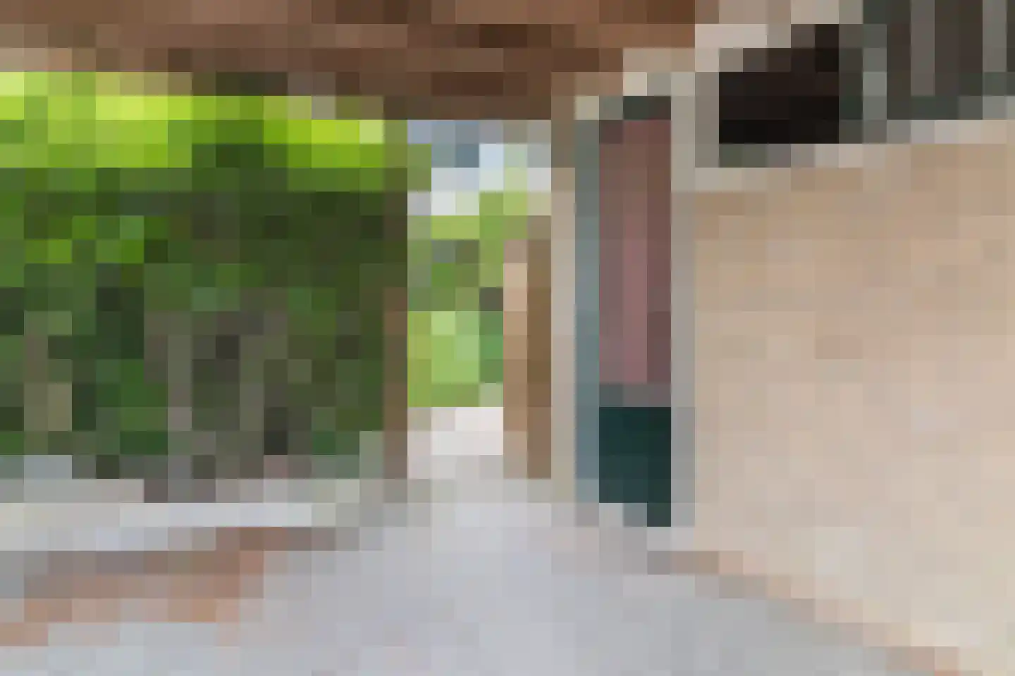 Couwenhoven 4309 Zeist thumbnail 40