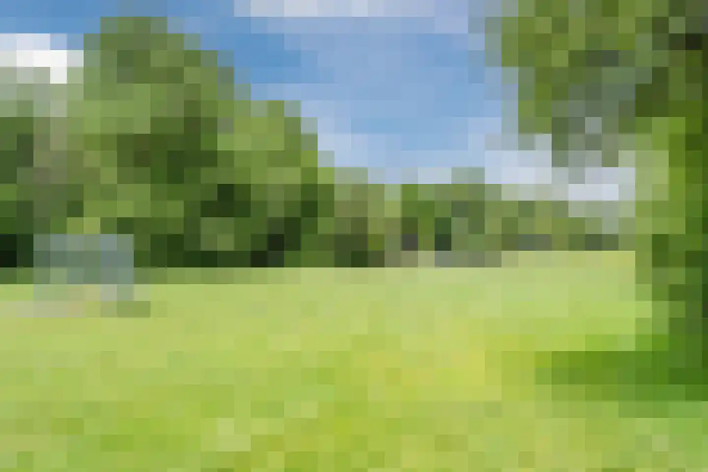 Couwenhoven 4309 Zeist thumbnail 45