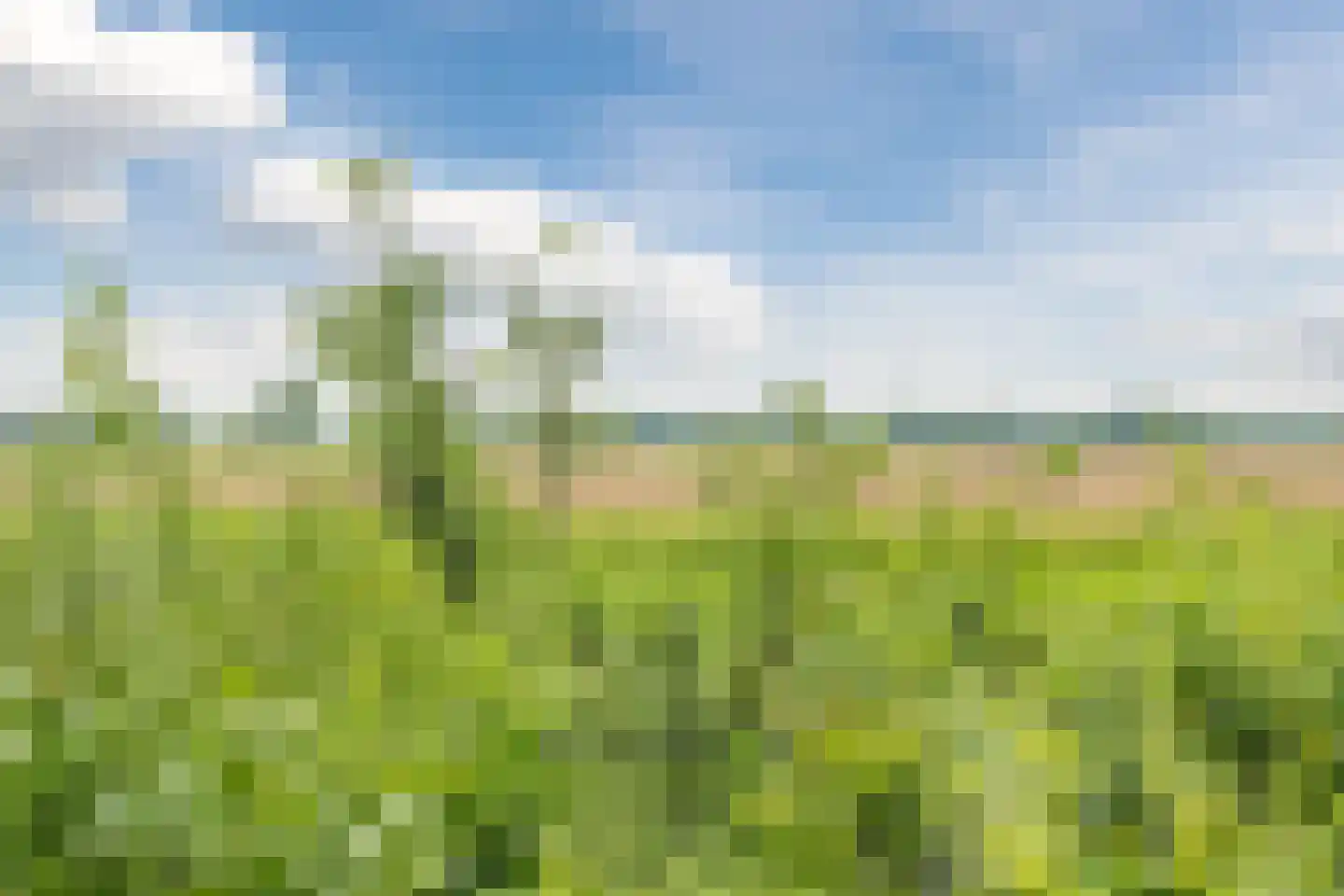 Couwenhoven 4309 Zeist thumbnail 48
