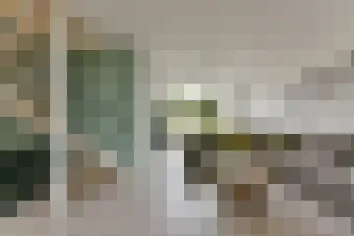 Couwenhoven 4311 Zeist thumbnail 10