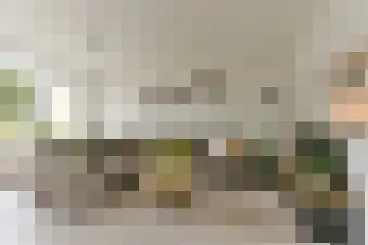 Couwenhoven 4311 Zeist thumbnail 11