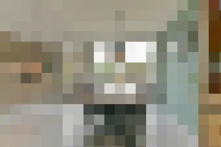 Couwenhoven 4311 Zeist thumbnail 13