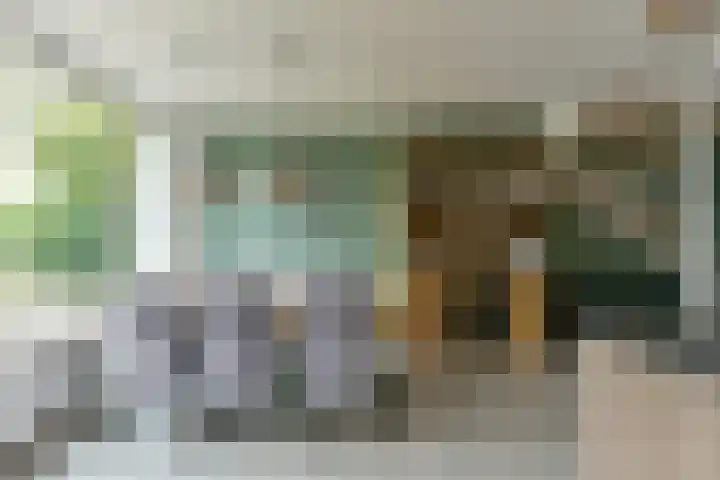 Couwenhoven 4311 Zeist thumbnail 16