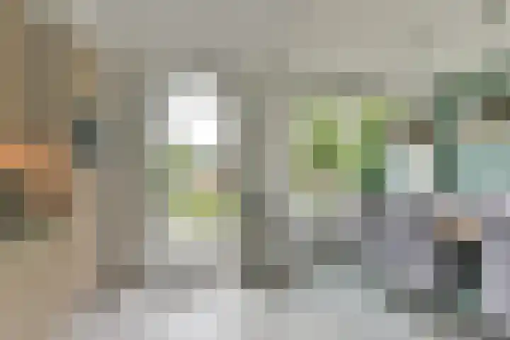 Couwenhoven 4311 Zeist thumbnail 17